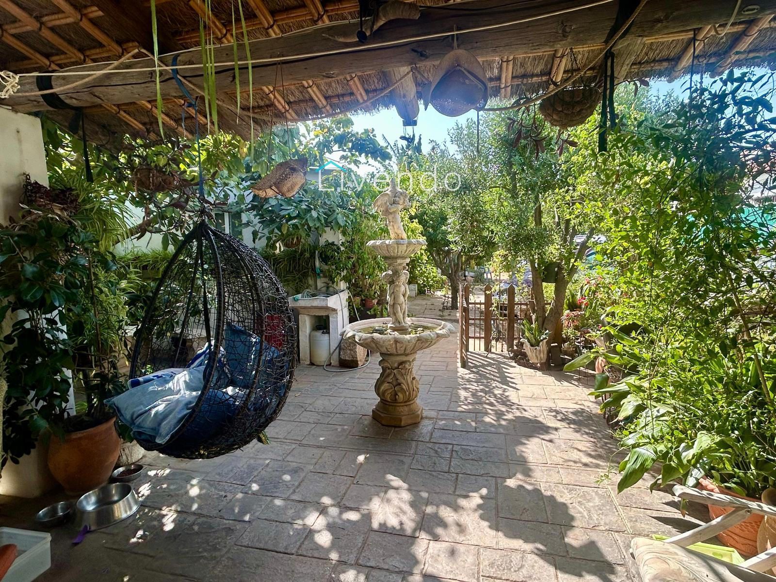 Jardí de Casa o xalet en venda en Conil de la Frontera amb Piscina