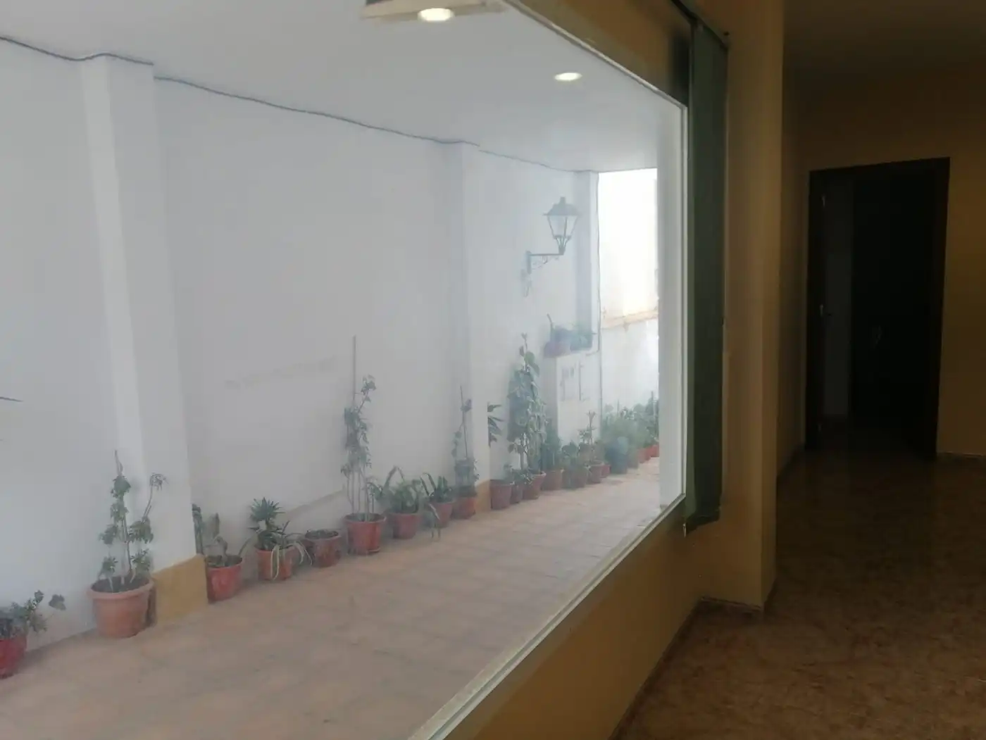 Local comercial en venta en El Carpio, imagen 7