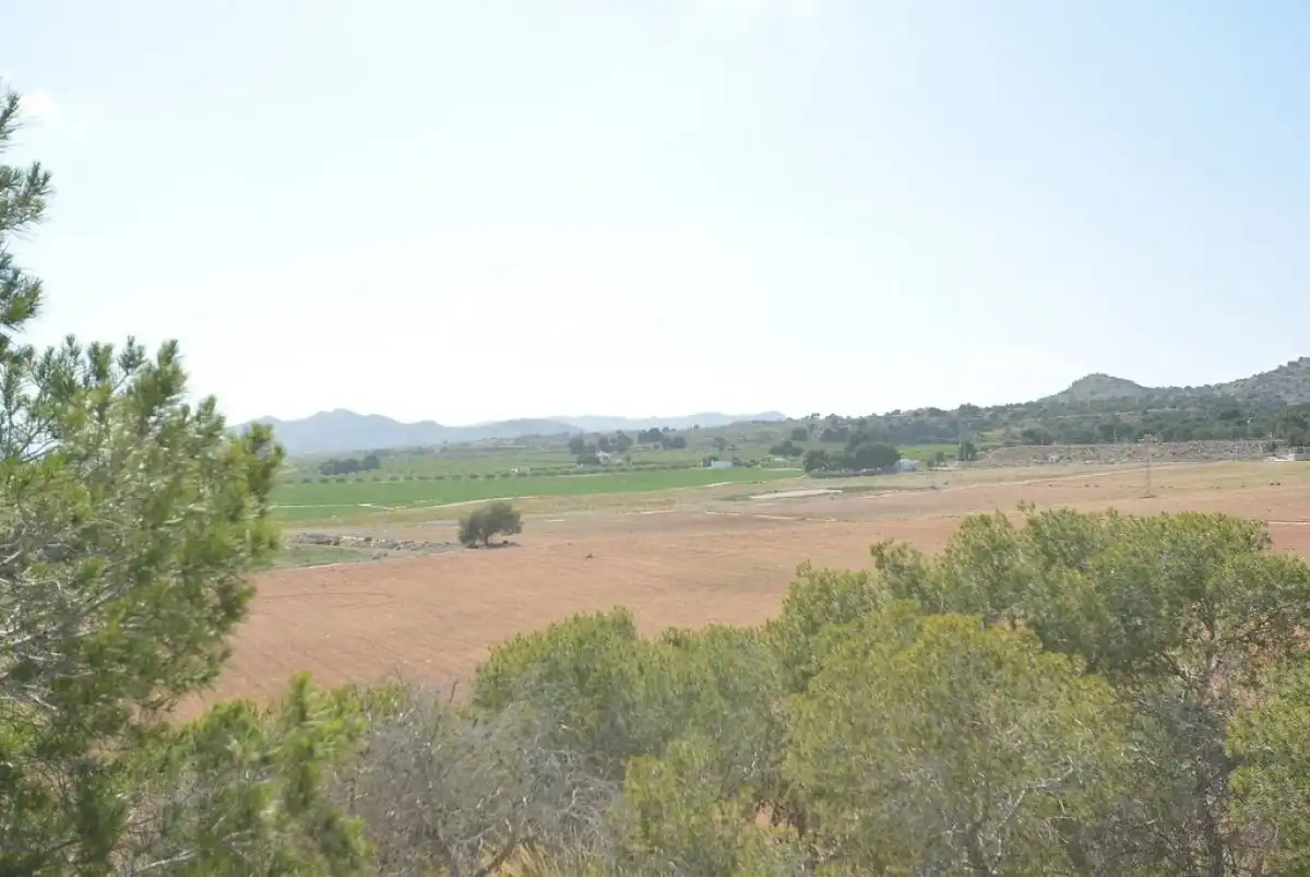 Terreni e lotti in vendita a Campo de Murcia, imagen 25