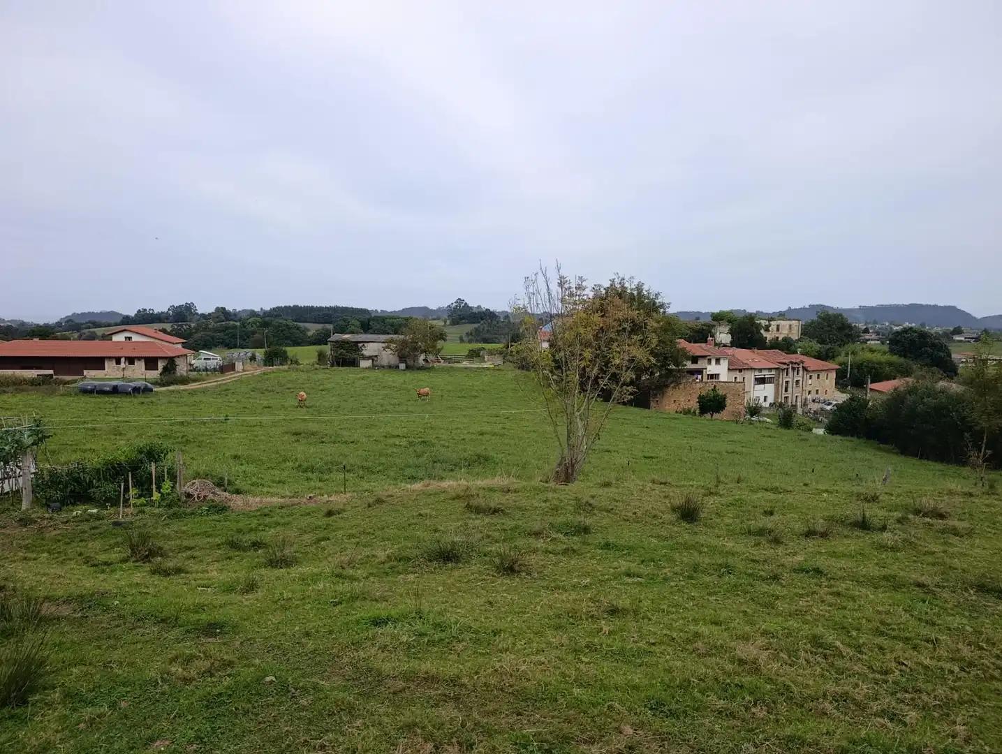 Rustikales Grundstück zum Verkauf in Carretera Piñera (Noriega) 0, imagen 7