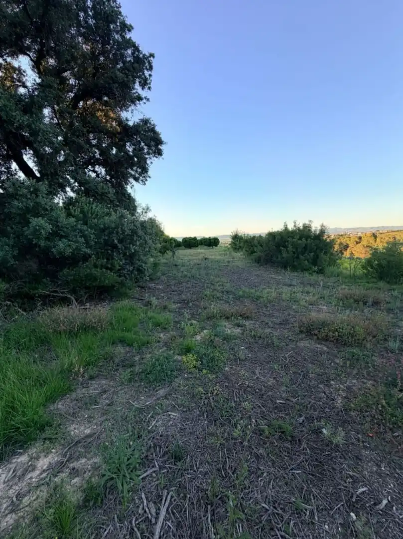 Terreny residencial en venda a El Juncal - Vallealto, imagen 26