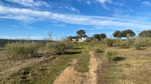 Finca  46,5 has zona Puente del Arzobispo Toledo, immagine 2