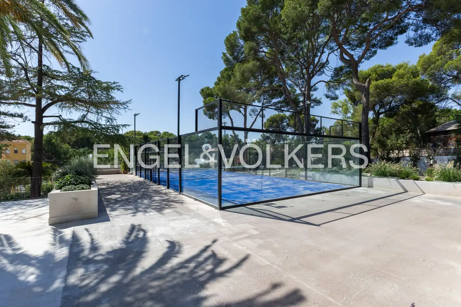Casa o xalet de lloguer a Avinguda Acàcies, Campolivar