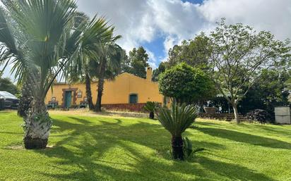 Vista exterior de Finca rústica en venda en Montoro amb Aire condicionat i Jardí privat