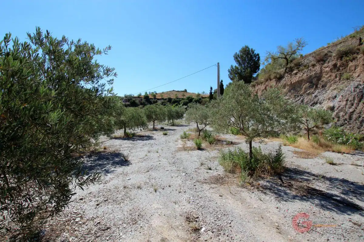 Finca rústica en venta en Los Tablones - La Garnatilla
