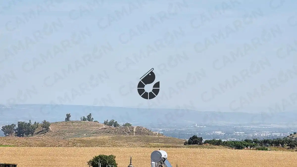 Vista exterior de Casa adosada en venta en Castilleja de la Cuesta con Aire acondicionado y Balcón