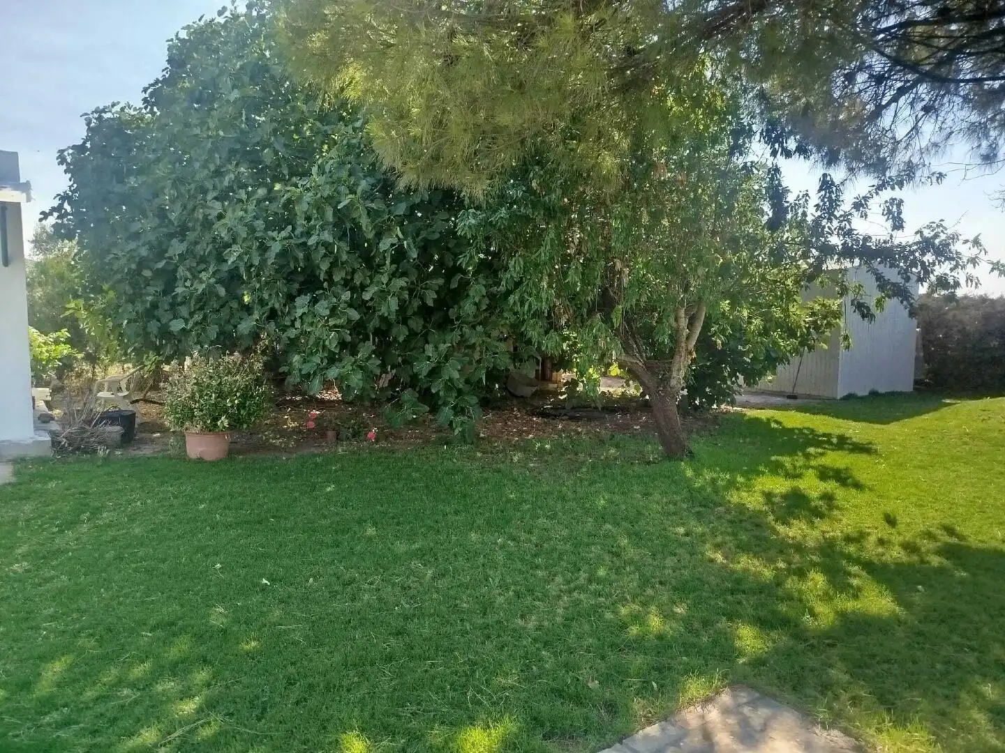 Houses for sale in Rota
