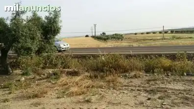 Grundstücke und Bauplätze zum Verkauf in La Coronada, imagen 3