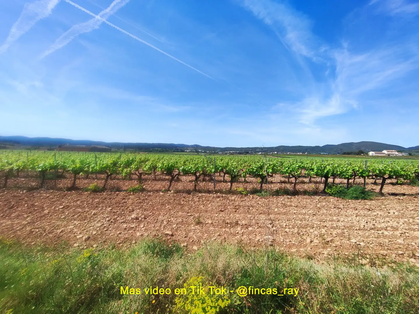 Terreno residenziale in vendita a Torrelles de Foix, imagen 60