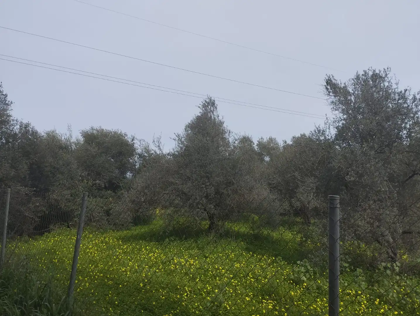 Terreni e lotti in vendita a Sanlúcar la Mayor, imagen 2