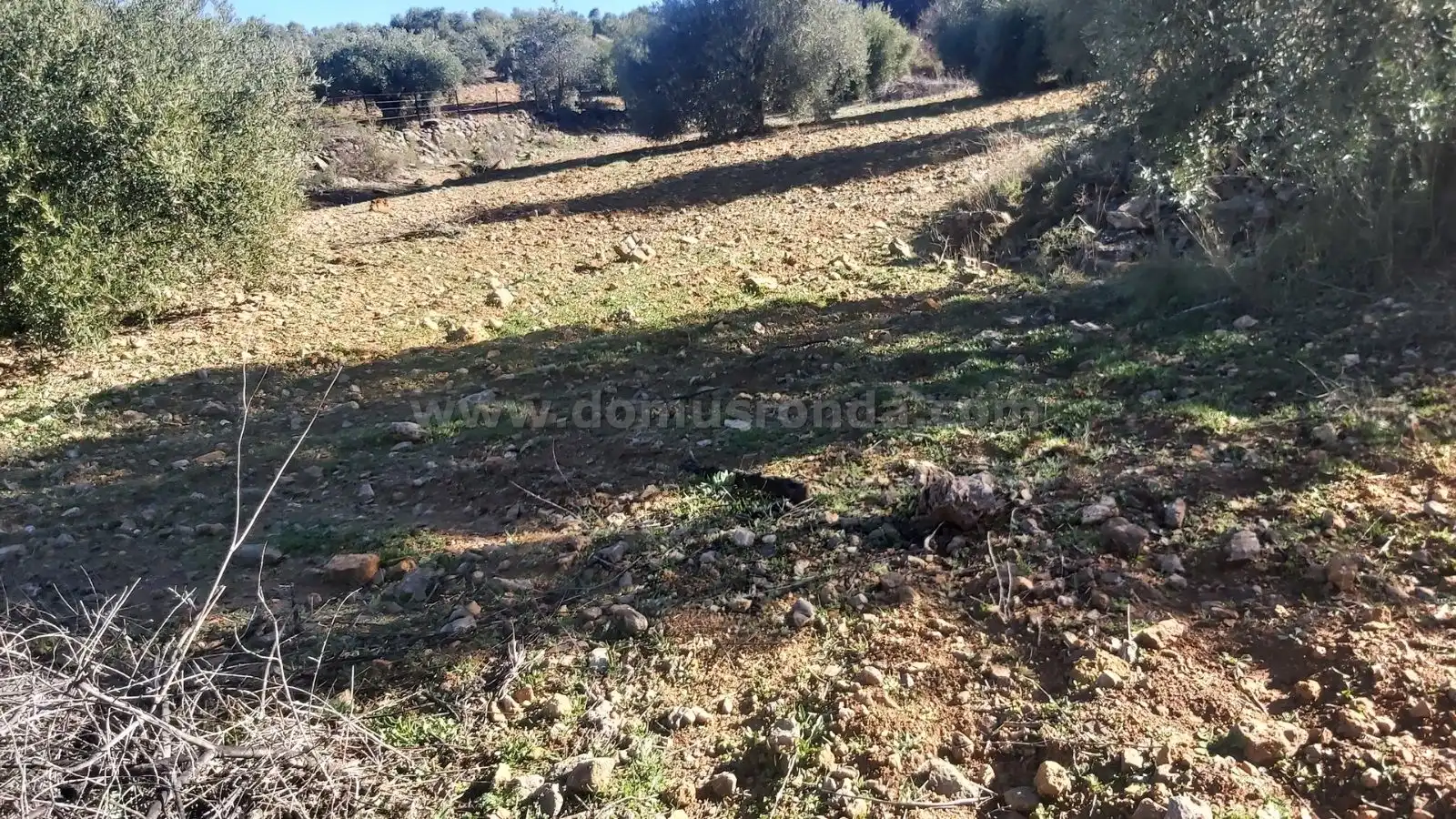 Terreni e lotti in vendita a Partidas Norte, imagen 11