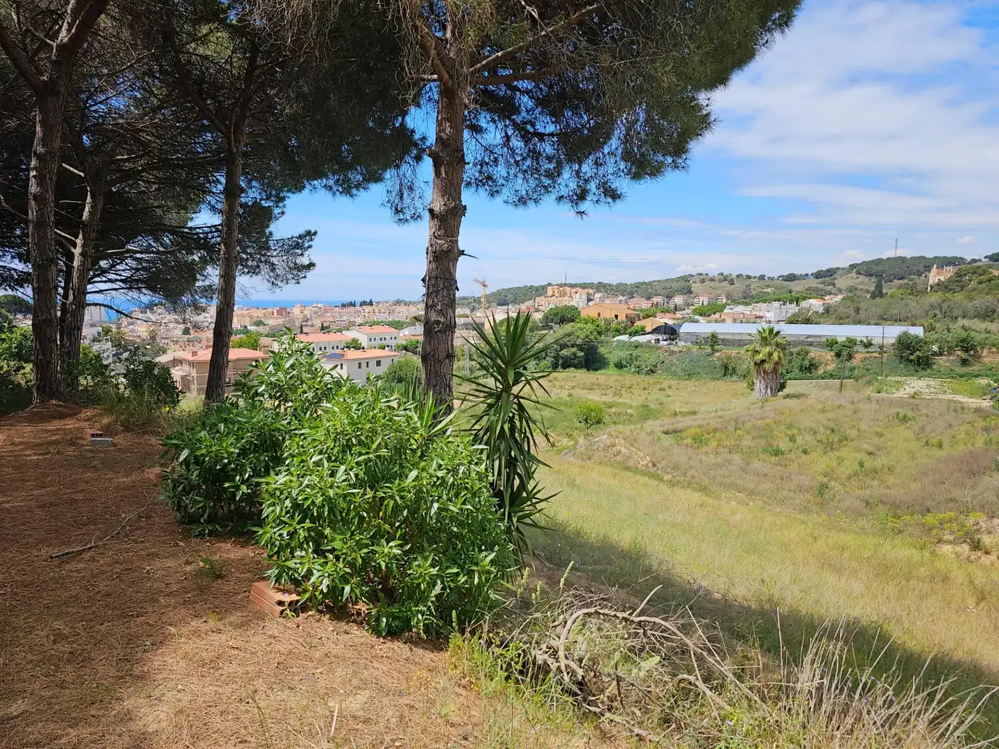 Finca rústica en venta en Canet de Mar con Jardín privado
