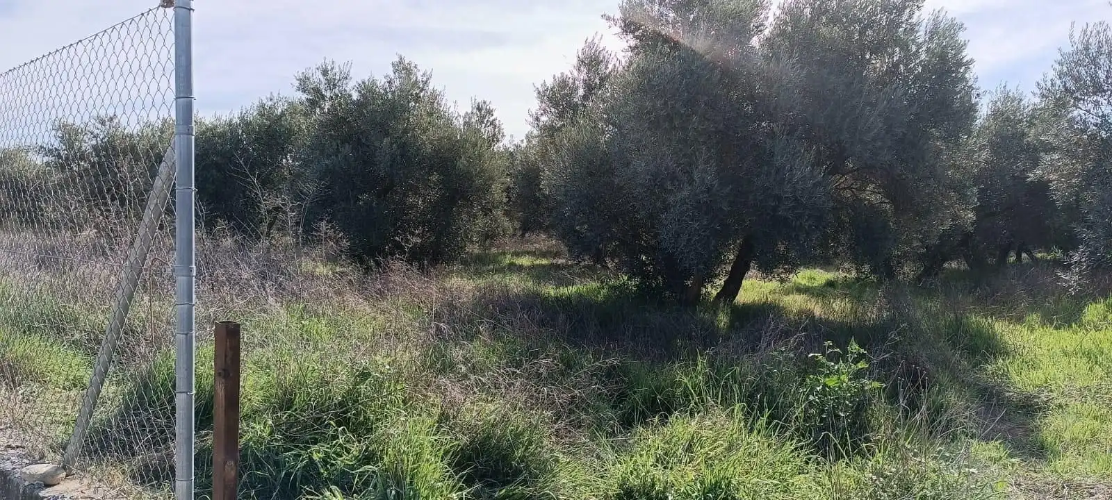 Finca rústica en venta en Villa de Otura