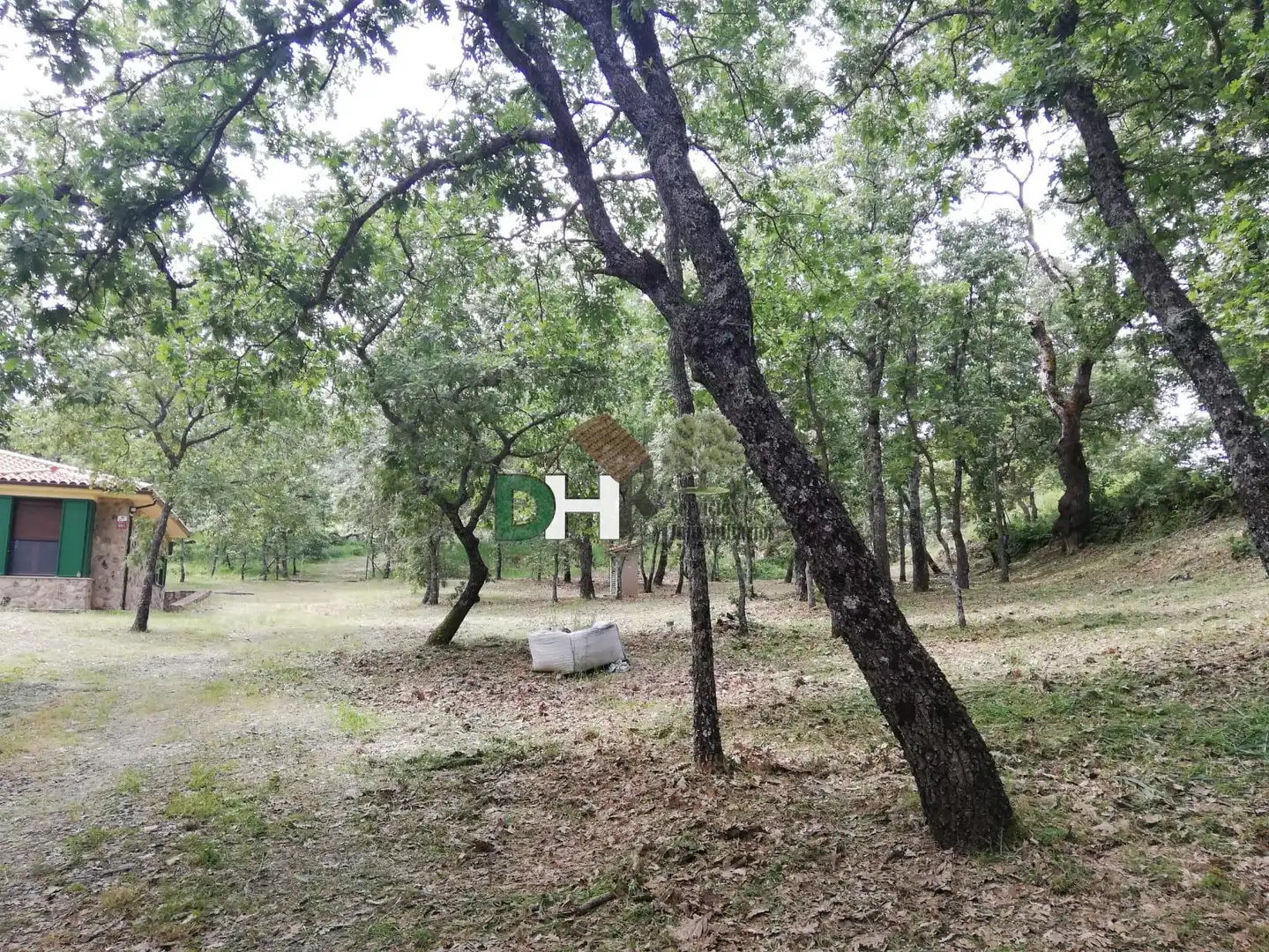 Finca rústica en venda a Perales del Puerto
