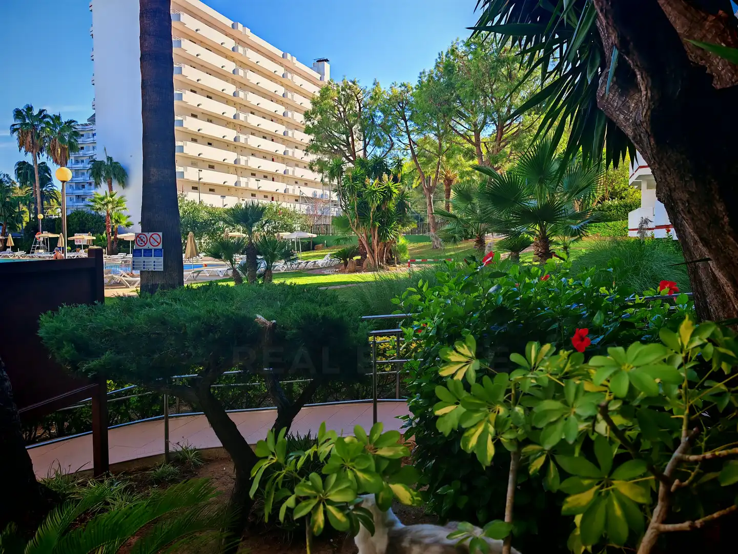 Piso con piscina en venta en Port d'Alcúdia - Platja d'Alcúdia, imagen 9