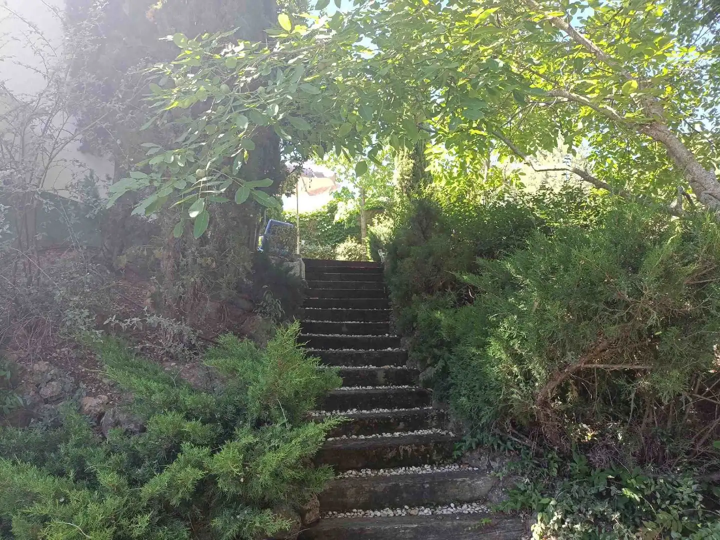 Jardín de Casa o chalet en venta en La Puebla de Castro con Aire acondicionado, Calefacción y Jardín privado