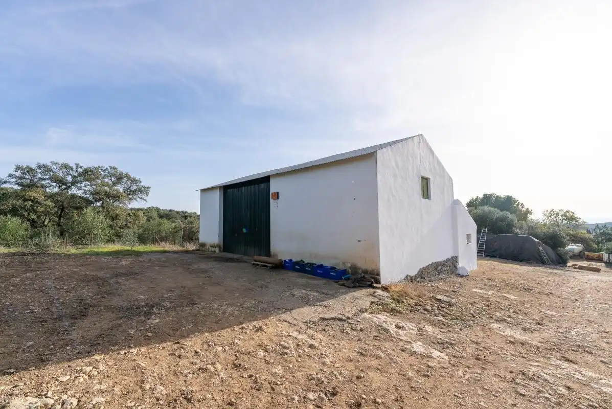 Casa o xalet en venda a C. Nueva, Peñaflor