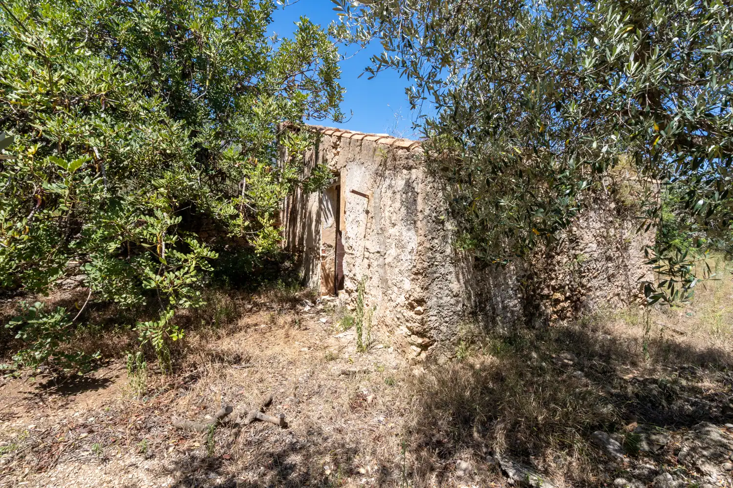 Terreno rustico in vendita a Roquetes, imagen 3