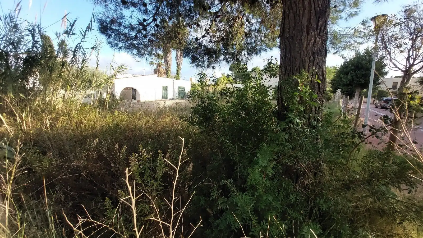 Terreny residencial en venda a Port d'Alcúdia - Platja d'Alcúdia, imagen 3
