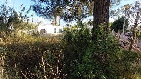 SUELO URBANO DE 270 M2 EN PUERTO ALCÚDIA, imatge 3