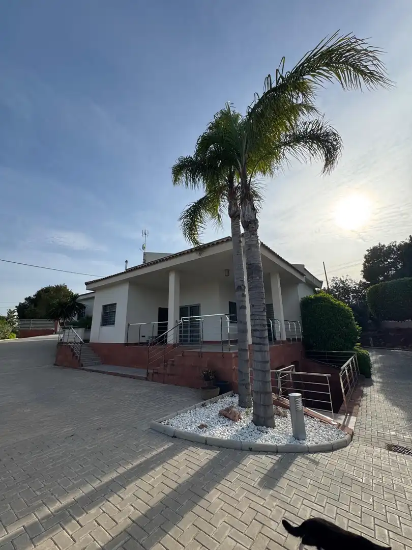 Vista exterior de Casa o xalet en venda en Elche / Elx amb Aire condicionat, Calefacció i Jardí privat