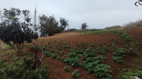 Foto 2 de Terreno en venta en Calle Hoya de la Viuda, -1, El Sauzal, Santa Cruz de Tenerife