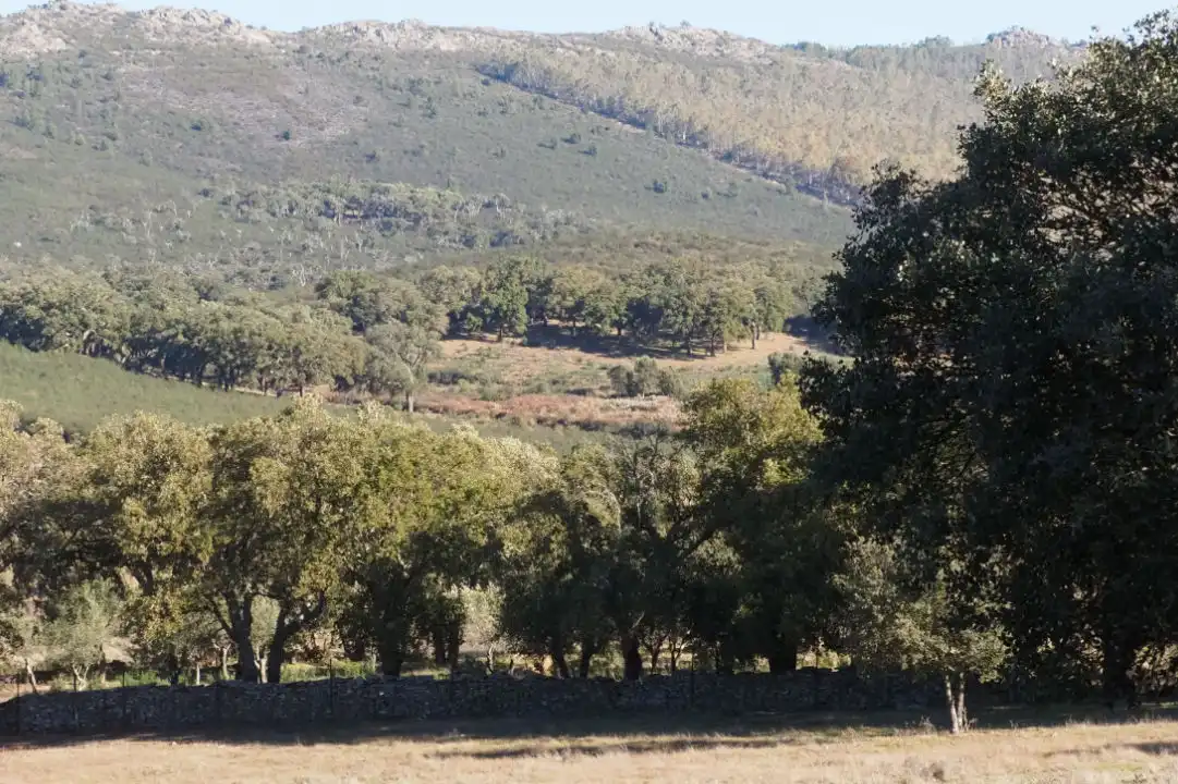 Terreno en venta en Puerto de Béjar