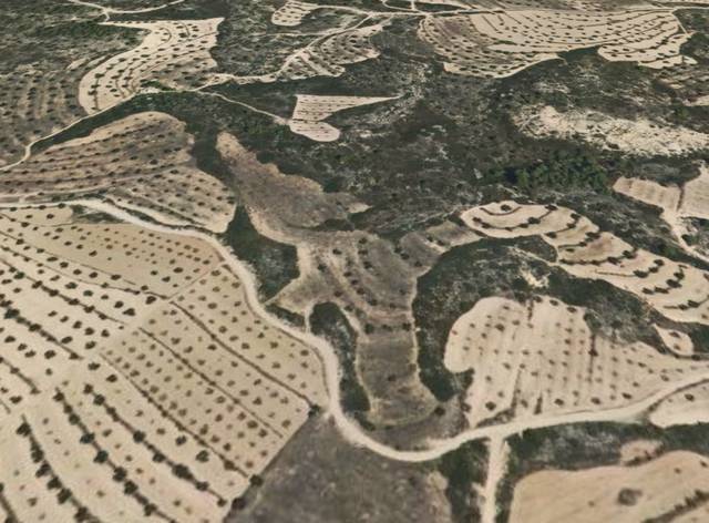 Terreno en Venta en Mazaleón