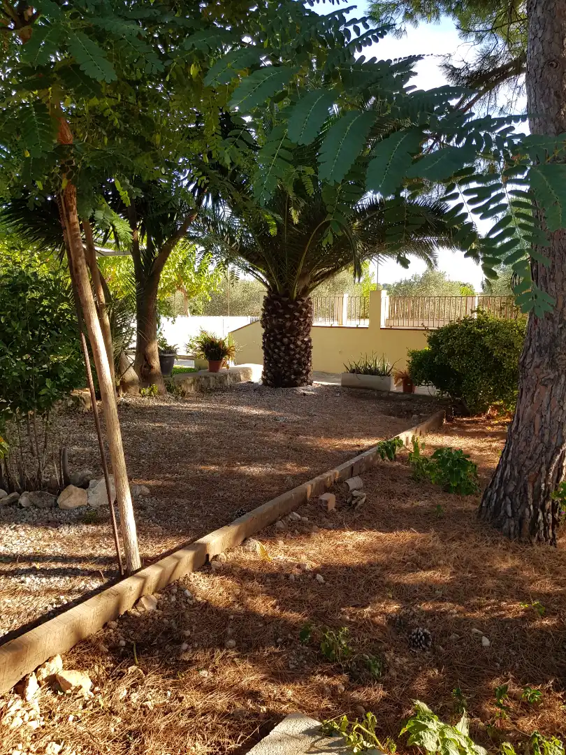 Jardín de Finca rústica en venta en Santa Oliva con Calefacción, Jardín privado y Piscina