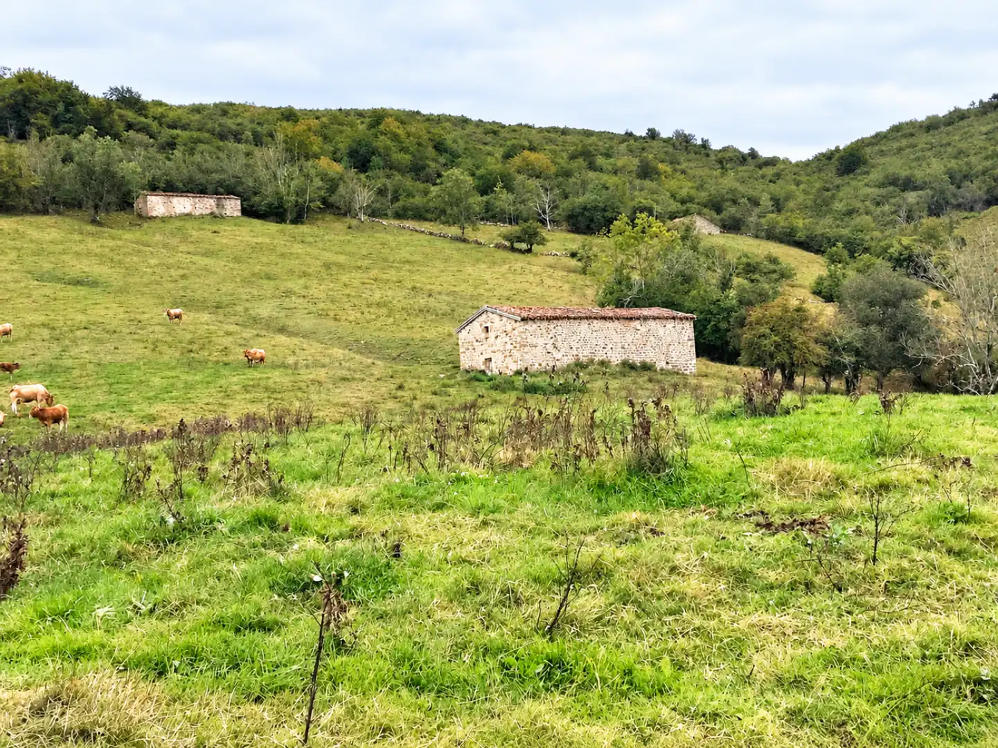 Casa con jardín en venta en San Sebastián de Garabandal - MATAZORRA, imagen 2