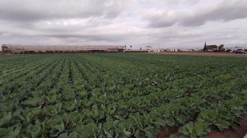 Photo 2 of Land for sale in Saboya, Alboraya