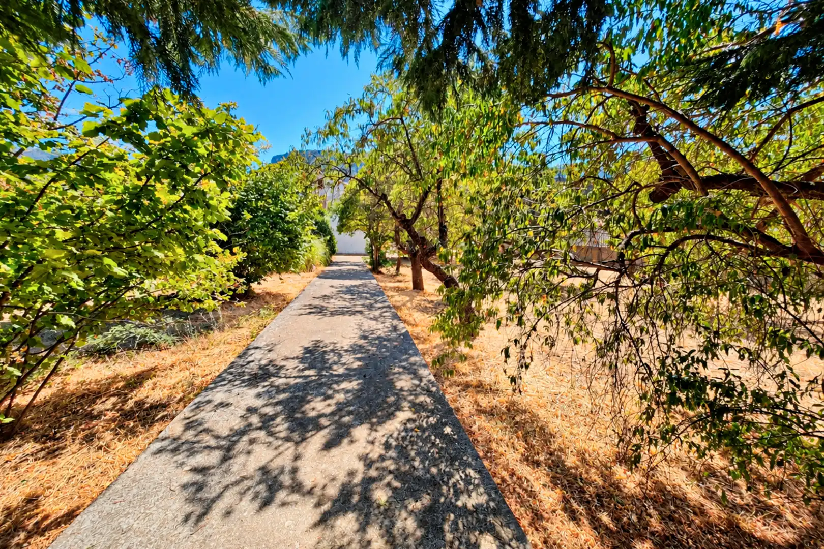 Villa avec jardin à vendre à Fuentespalda, imagen 30