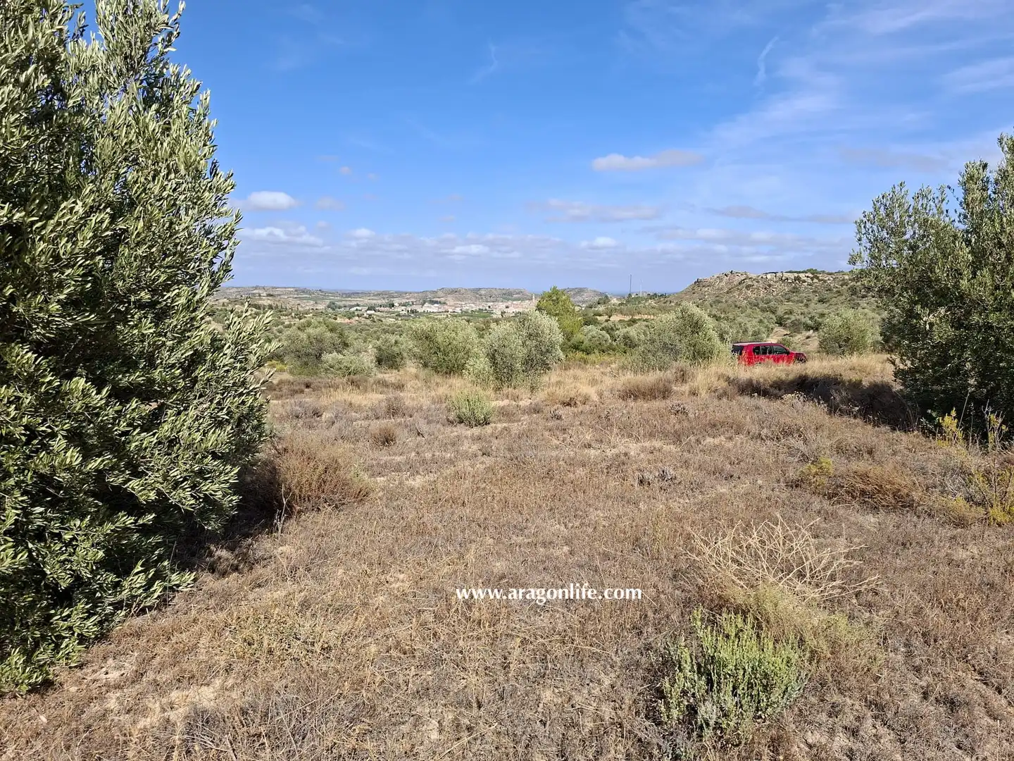 Terreni e lotti in vendita a Maella, imagen 6