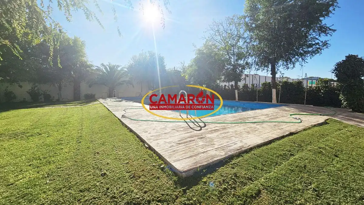 Piscina de Planta baixa en venda en Sevilla amb Terrassa, Balcó i Piscina comunitària