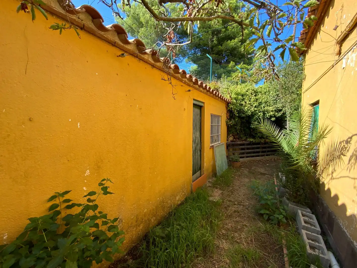 Finca rústica en venda a Canafort - El Puntó