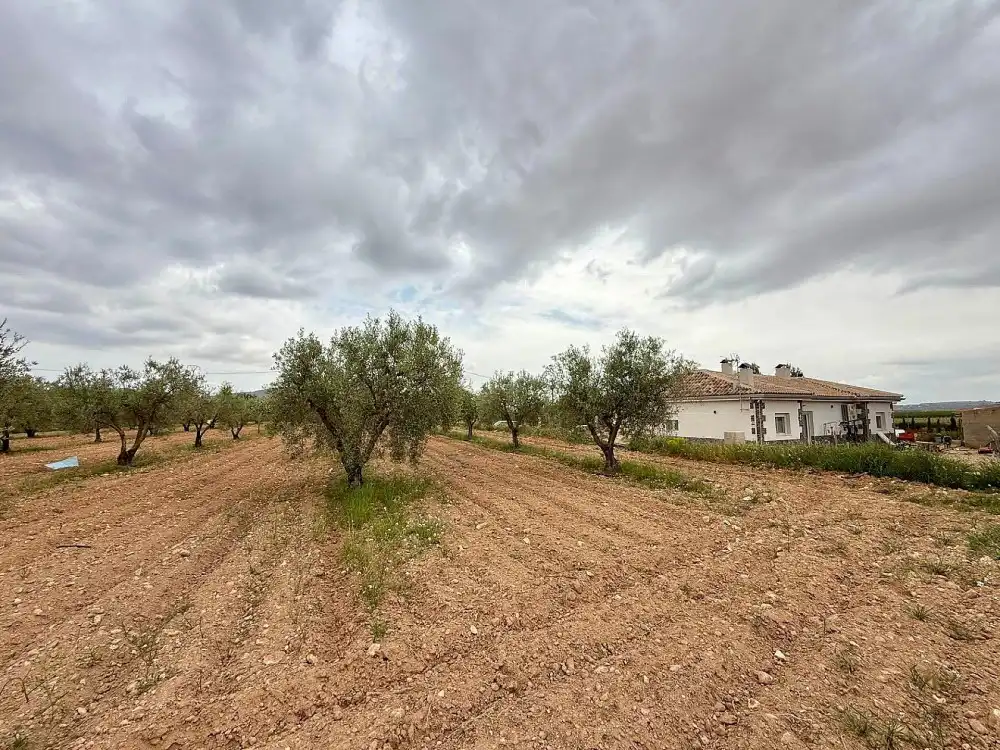 Maison à vendre à El Pinós / Pinoso, imagen 30