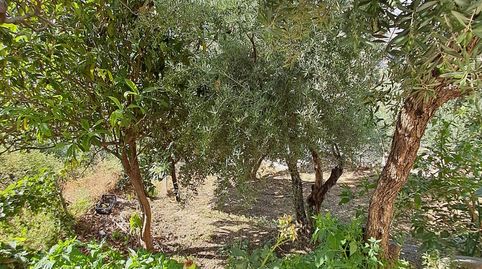 Foto 2 de Casa o chalet en venta en Alcolea, Almería