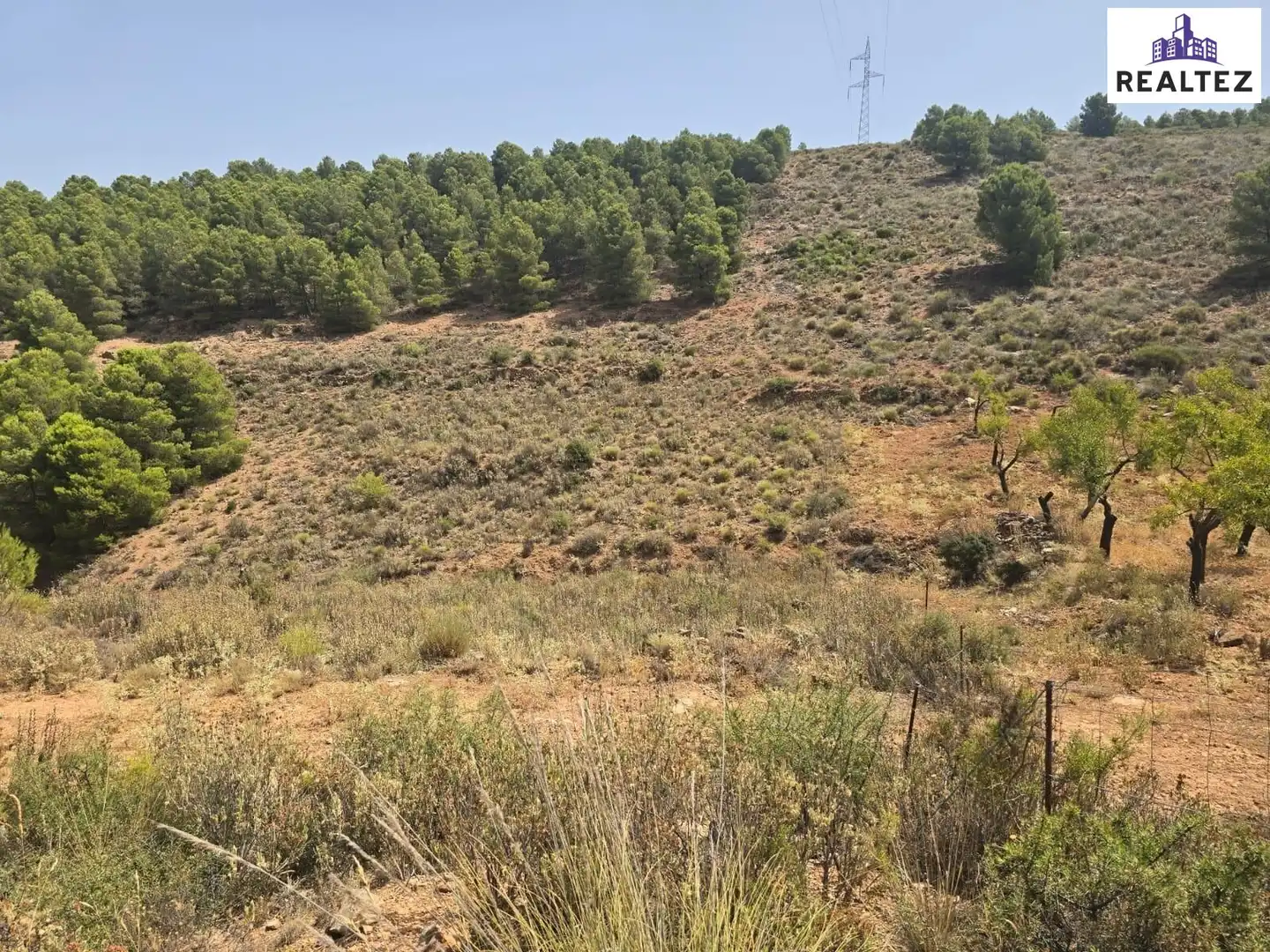 Terrain rustique à vendre à Alcolea