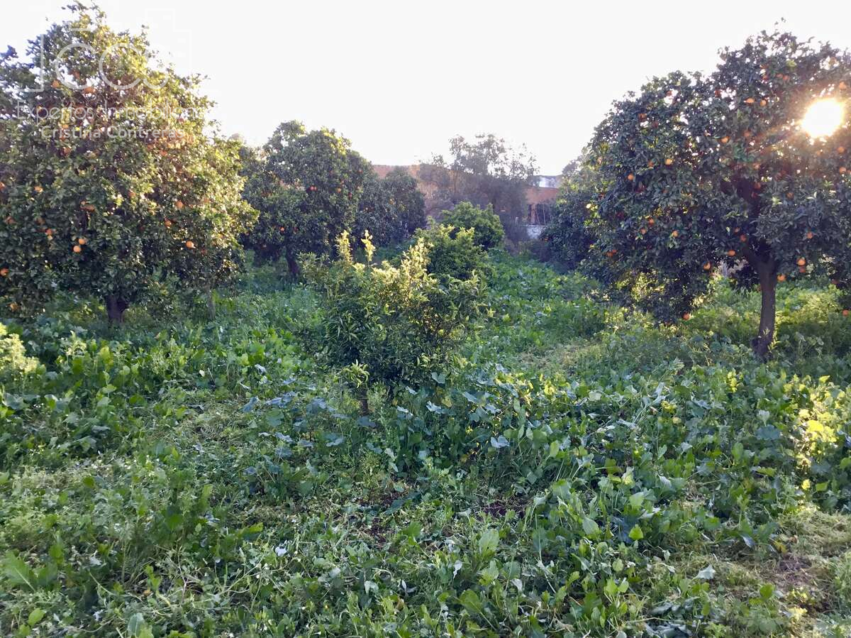 Finca rústica en venda