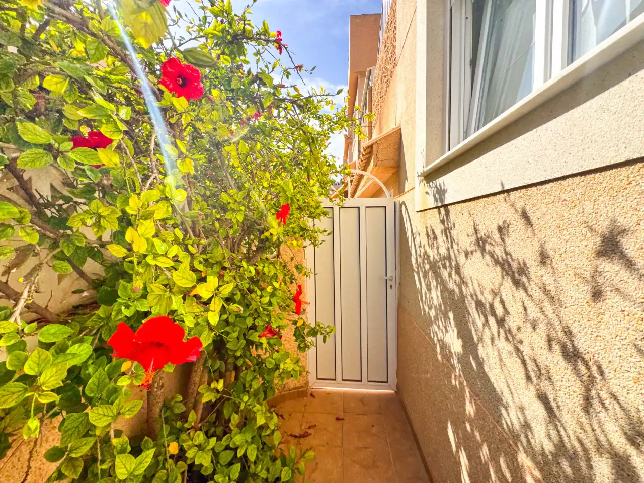 Jardí de Casa adosada en venda en Torrevieja amb Aire condicionat, Calefacció i Jardí privat