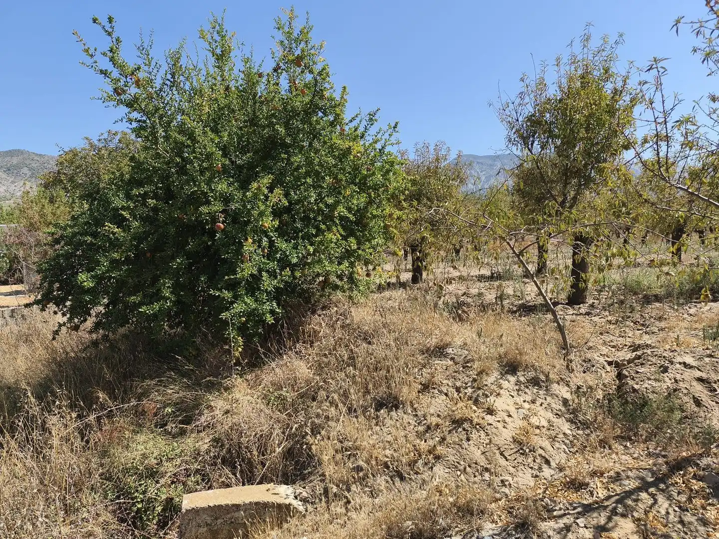 Rural land for sale in 2C55+9GC Cozvijar 0, imagen 17