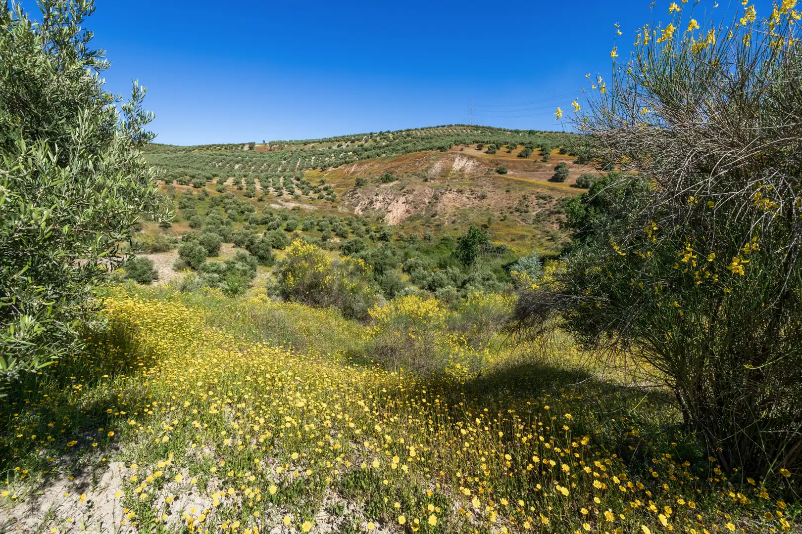 Rustikales Grundstück zum Verkauf in Paraje del molino 2, imagen 21