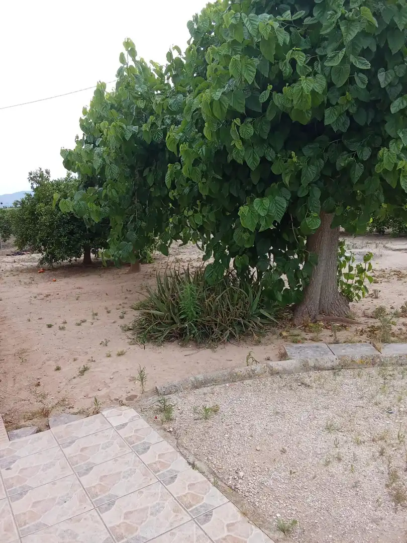 Casa o xalet en venda en Cullera amb Aire condicionat, Jardí privat i Moblat