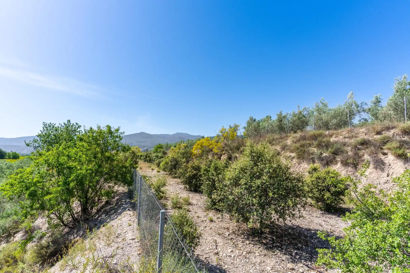 Terreno en venta en Tíjola