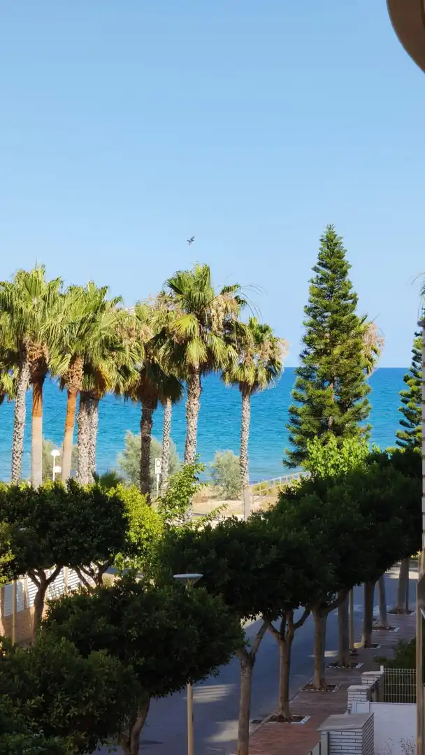 Vista exterior de Apartament en venda en Oropesa del Mar / Orpesa amb Aire condicionat, Moblat i Balcó