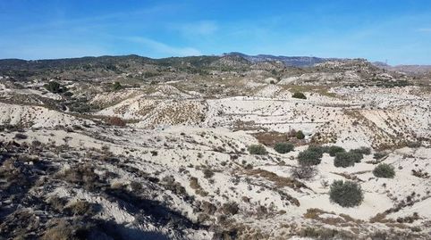 Foto 2 de Terreny en venda a Paraje la Alquibla Nº Sn, Ojós, Murcia