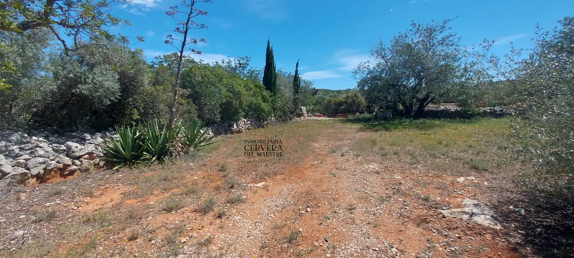 Terreno rustico in vendita a Cervera del Maestre, imagen 28