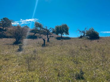 Rustikales Grundstück zum Verkauf in Sant Llorenç des Cardassar