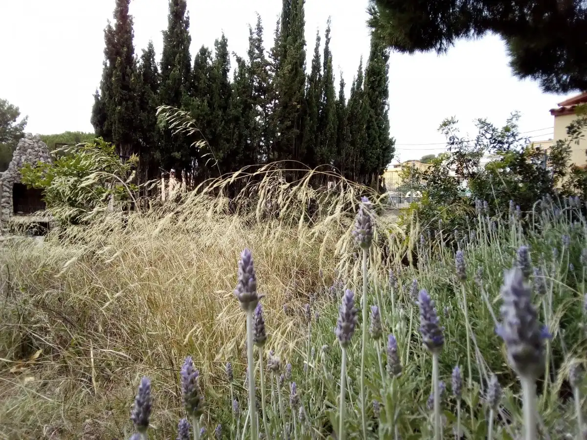 Garten von Residential zum Verkauf in Calafell