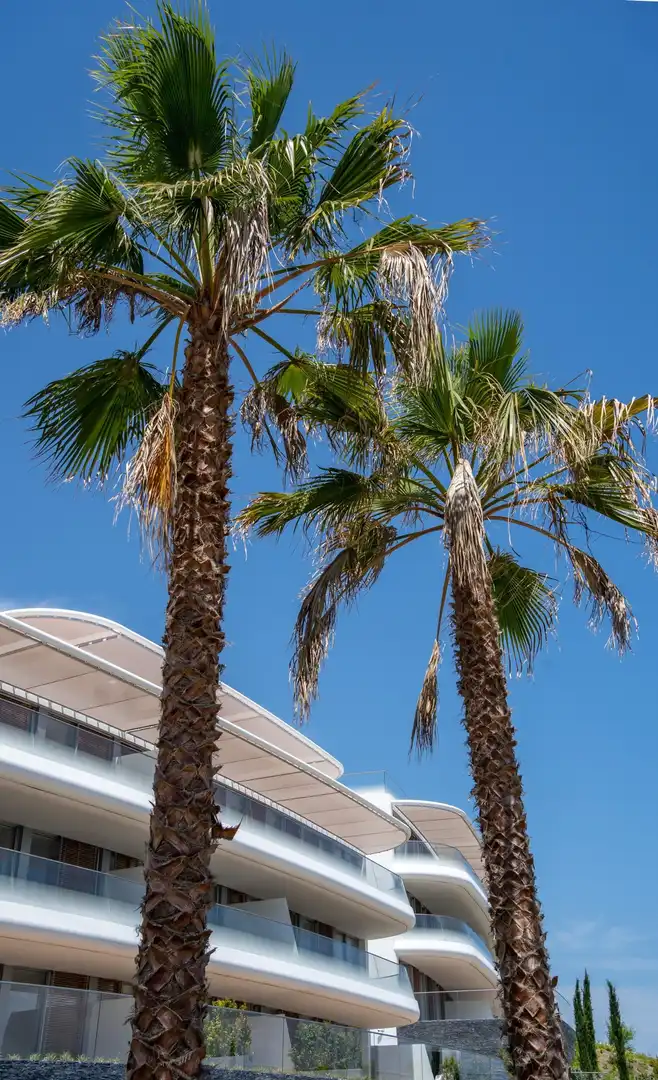 Àtic amb piscina en venda a Estepona Pueblo, imagen 5